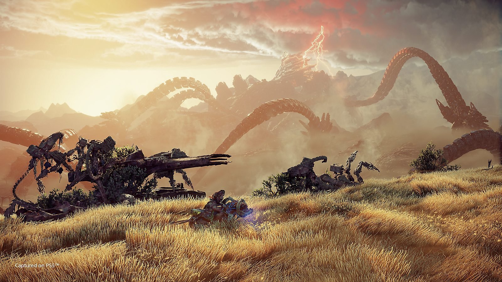 Horizon Forbidden West 
