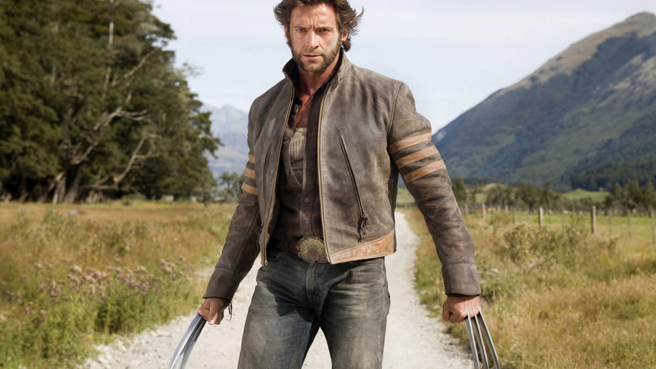 Logan Wolverine 