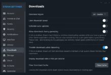 إعدادات Downloads وزر Clear Cache الرسمي لحل مشكلة تحميل ستيم